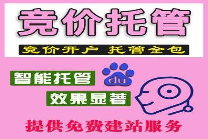 竞价排名中的数据分析和优化案例